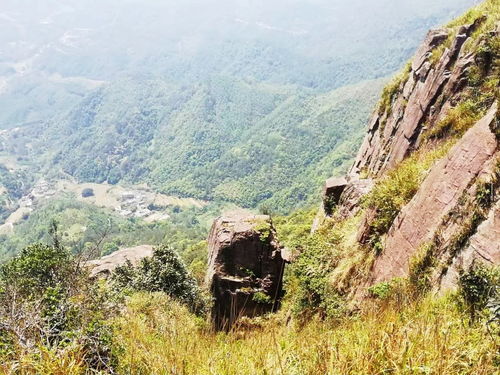 岑溪風(fēng)物 意動(dòng)身臨湖廣頂,雄山萬(wàn)仞踏云行
